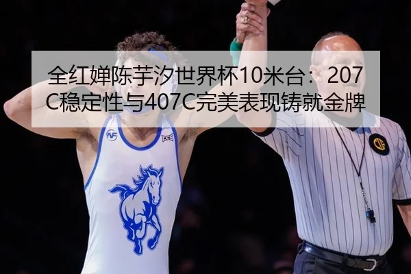 全红婵陈芋汐世界杯10米台：207C稳定性与407C完美表现铸就金牌