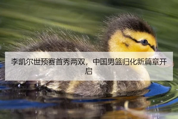 李凯尔世预赛首秀两双，中国男篮归化新篇章开启